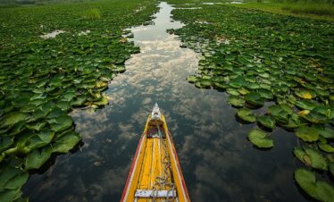 Dream Of Kashmir Tour