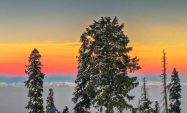 Kashmir Glimpses On The Earth